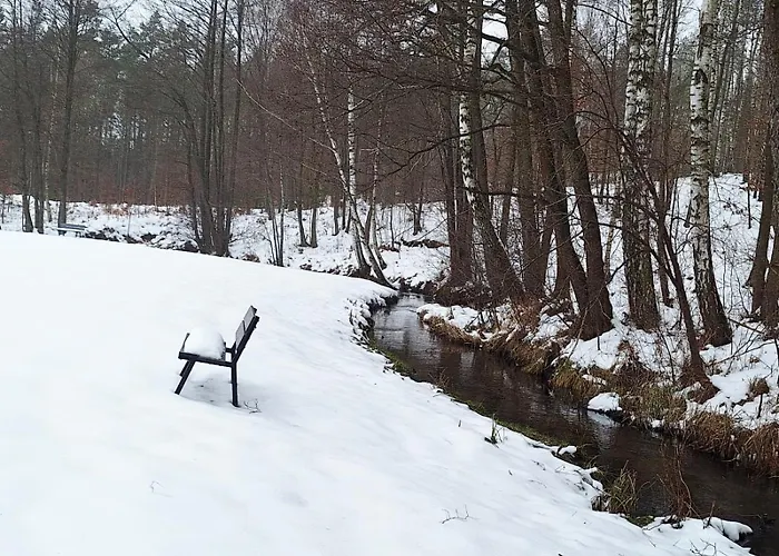 W Zaciszu * Kamienica Krolewska